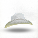 Load image into Gallery viewer, White Cowboy Hat With Braided Band
